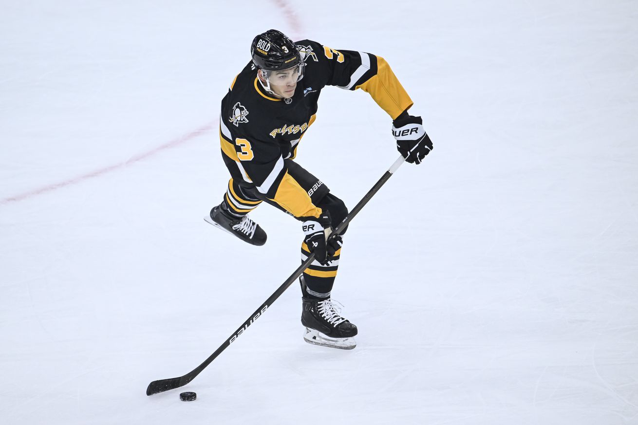 NHL: NOV 19 Lightning at Penguins