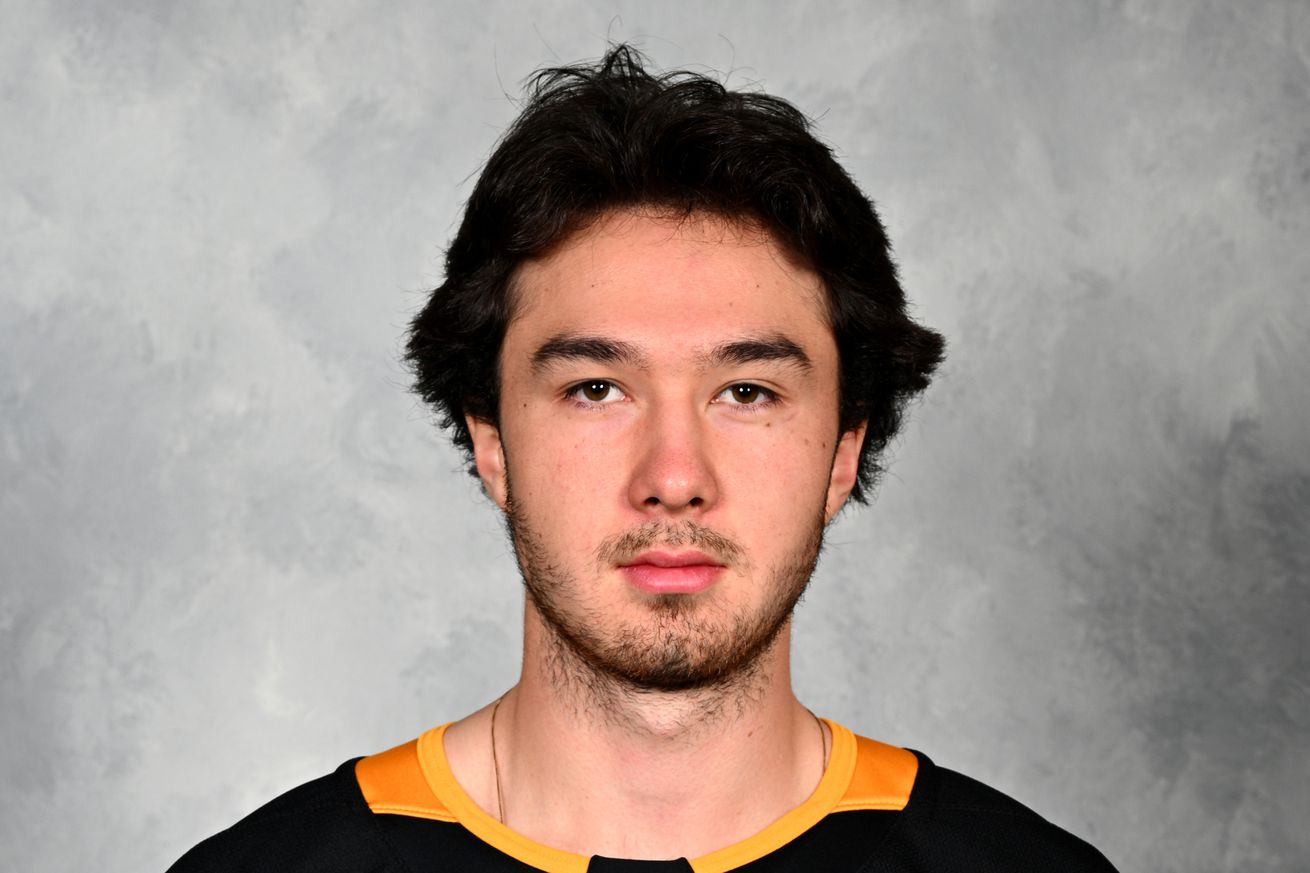 Pittsburgh Penguins Headshots