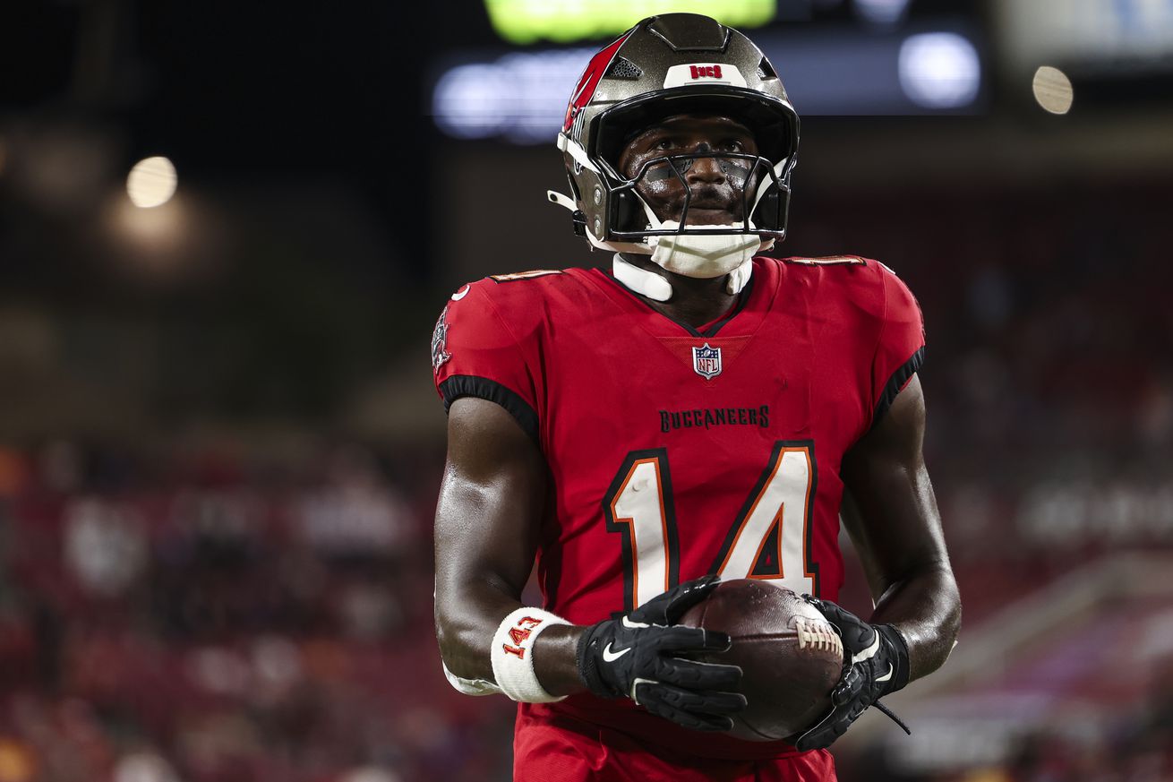 Baltimore Ravens v Tampa Bay Buccaneers