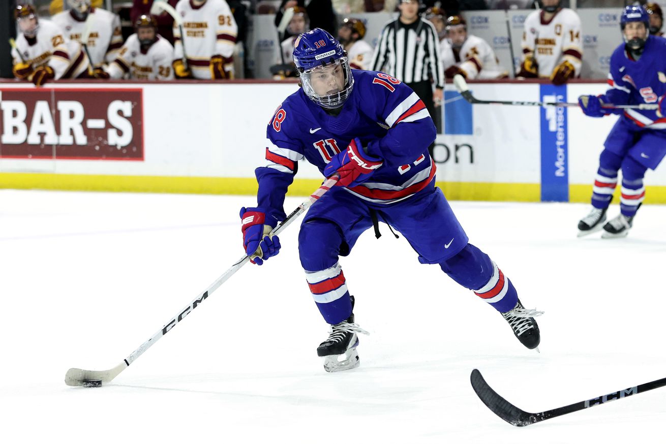 United States NTDP v Arizona State