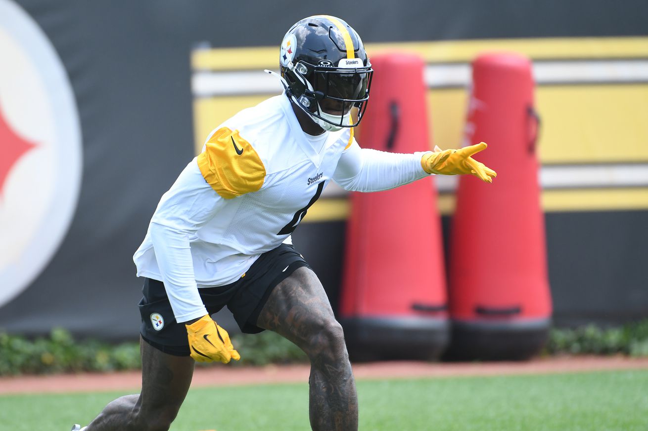 NFL: Pittsburgh Steelers Minicamp