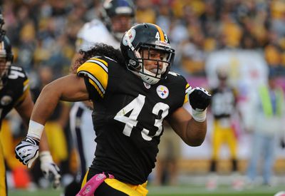 Baltimore Ravens v Pittsburgh Steelers