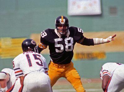 Chicago Bears v Pittsburgh Steelers