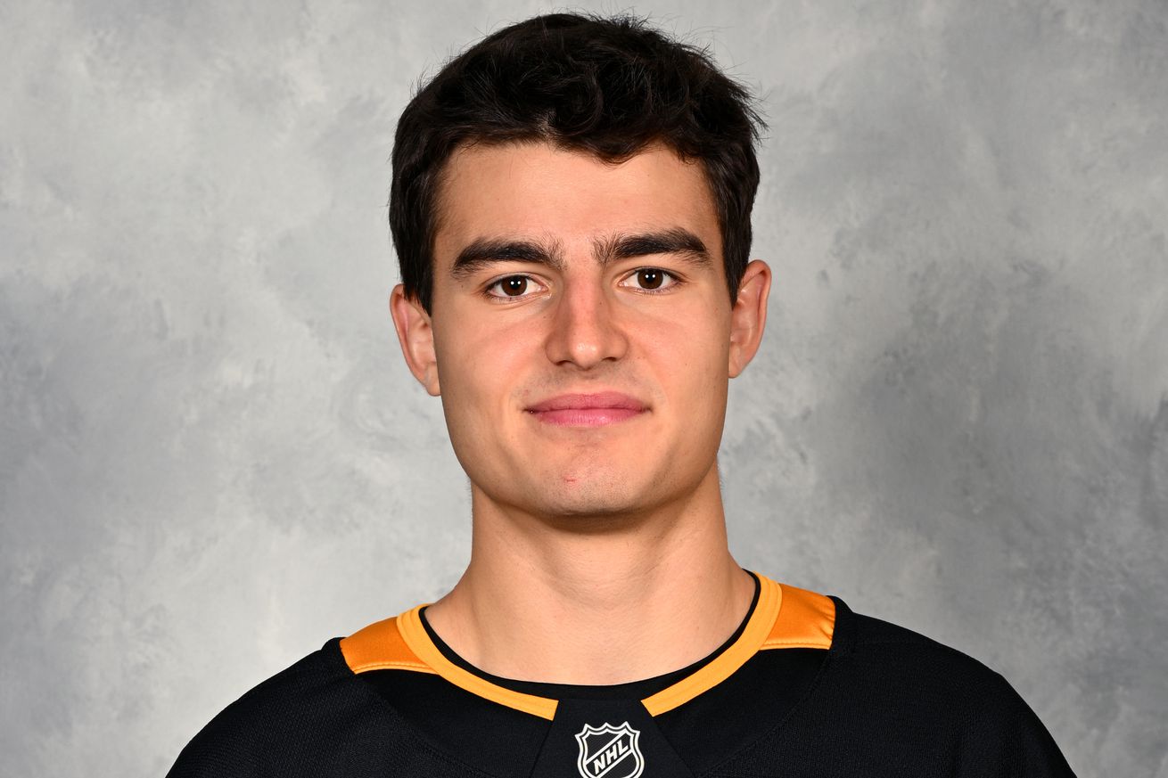Pittsburgh Penguins Headshots