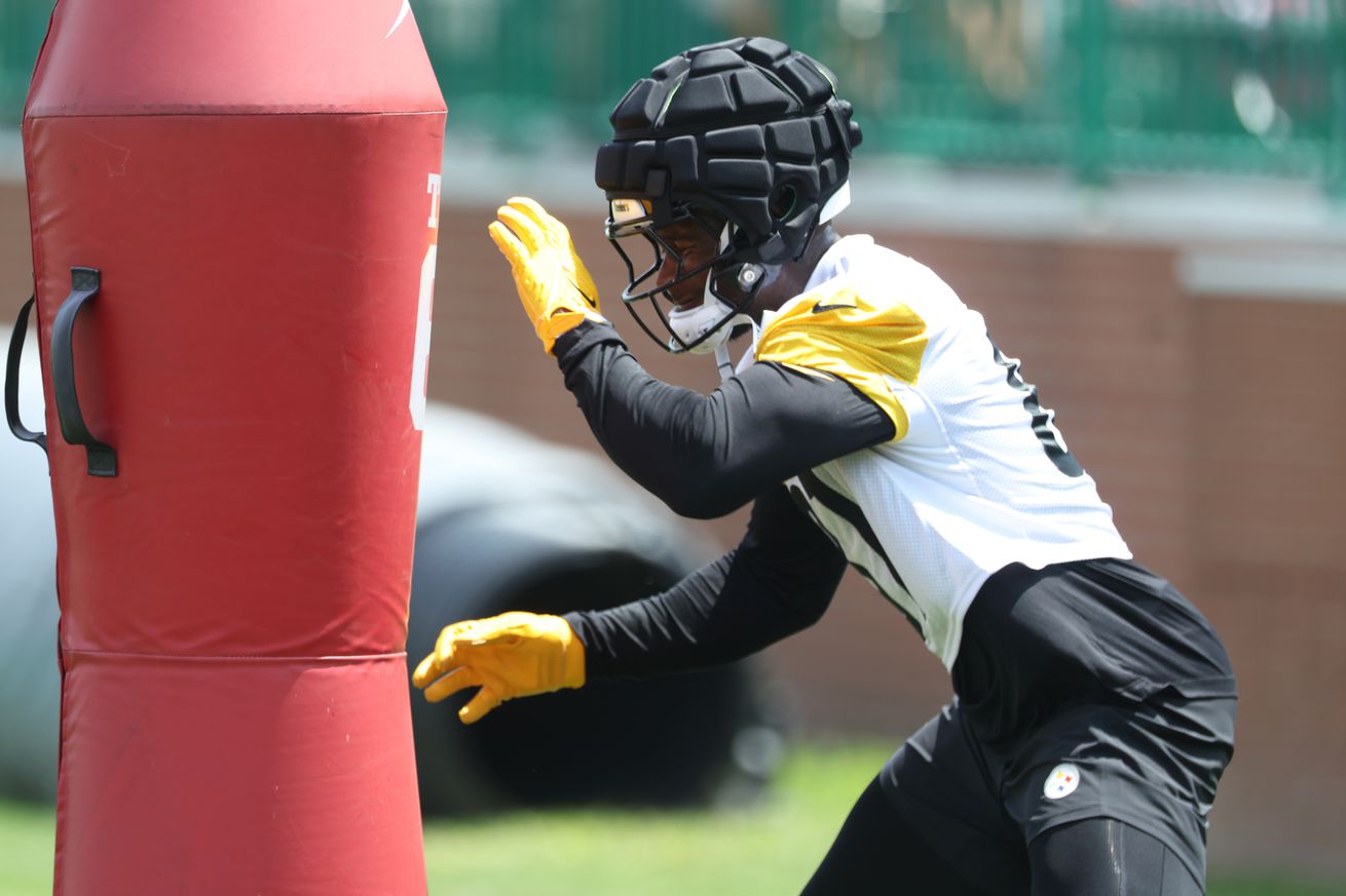 Pittsburgh Steelers tight end Jonnu Smith (81) participates in drills during training camp at Saint Vincent College.