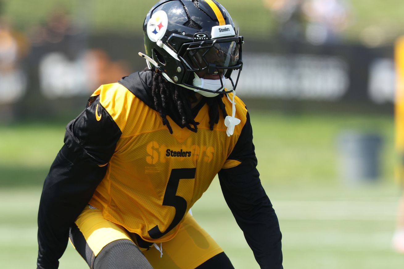 NFL: Pittsburgh Steelers Training Camp