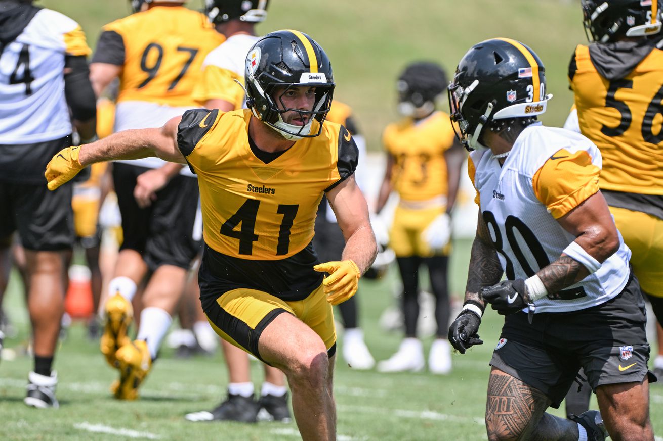 NFL: Pittsburgh Steelers Training Camp