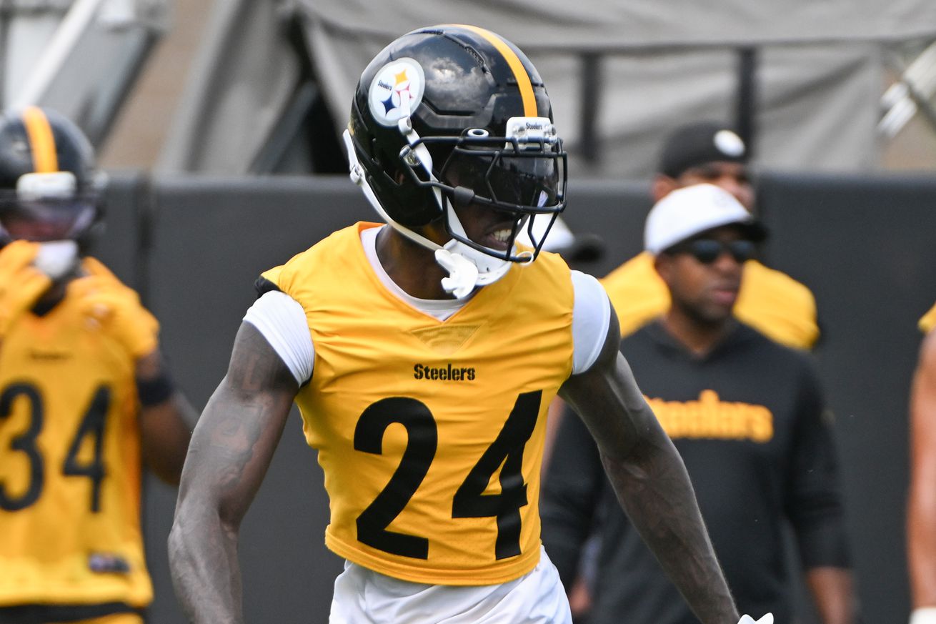 NFL: Pittsburgh Steelers Training Camp