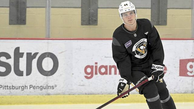 The Penguins acquired forward Melvin Fernstrom in a trade on Jan. 31.