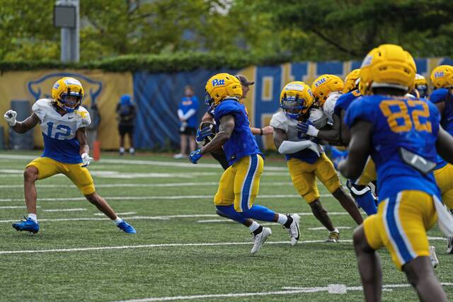 Pitt defensive back Cruce Brookins (12) looks to make a tackle during practice Aug. 11, 2025.