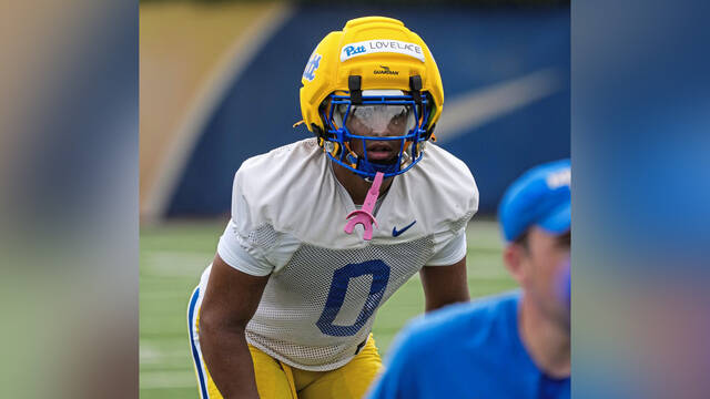 Pitt’s Braylan Lovelace, a Leechburg grad, takes part in a preseason workout during the 2025 season.