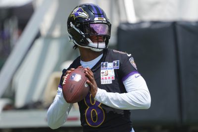 NFL: Baltimore Ravens Training Camp