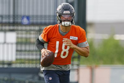 NFL: Chicago Bears Training Camp