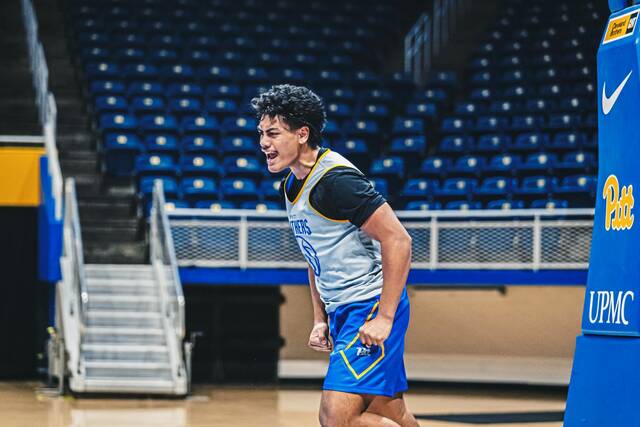 Australian freshman Roman Siulepa brings rugby-style physicality to the Pitt basketball program.