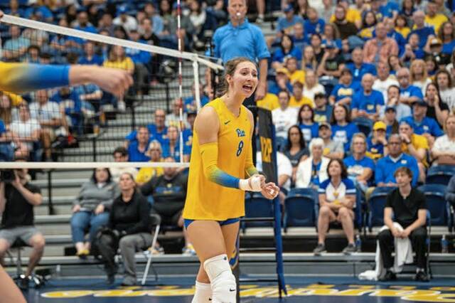 Pitt junior outside hitter Blaire Bayless enters this weekend's matches averaging 2.57 kills per set and also has 34 total blocks.