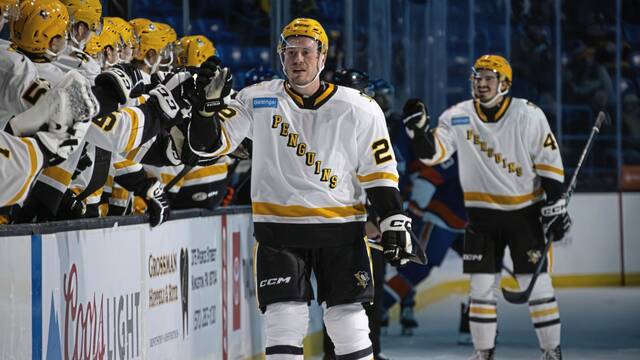 Wilkes-Barre/Scranton Penguins forward Sam Poulin celebrates a goal with teammates during a game against the Bridgeport Islanders at Mohegan Sun Arena in Wilkes-Barre on Friday. The Penguins won, 3-2.