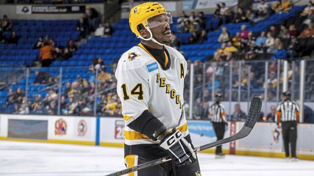 In eight games with the Wilkes-Barre/Scranton Penguins this season, forward Boko Imama has eight penalty minutes.