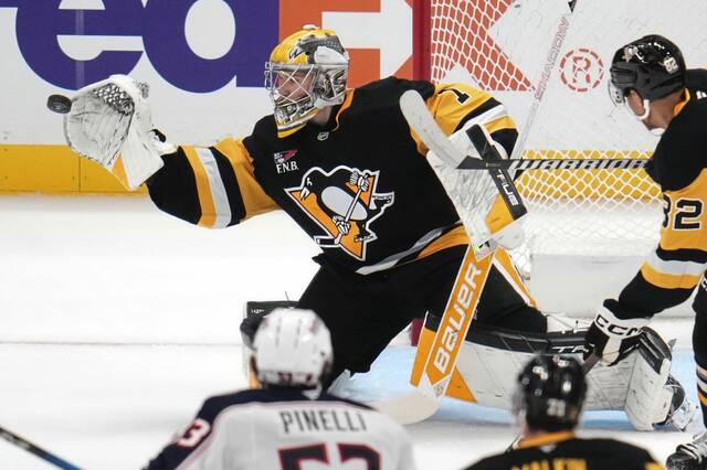 During the preseason, Penguins goaltender Sergei Murashov had a 2-0-1 record.