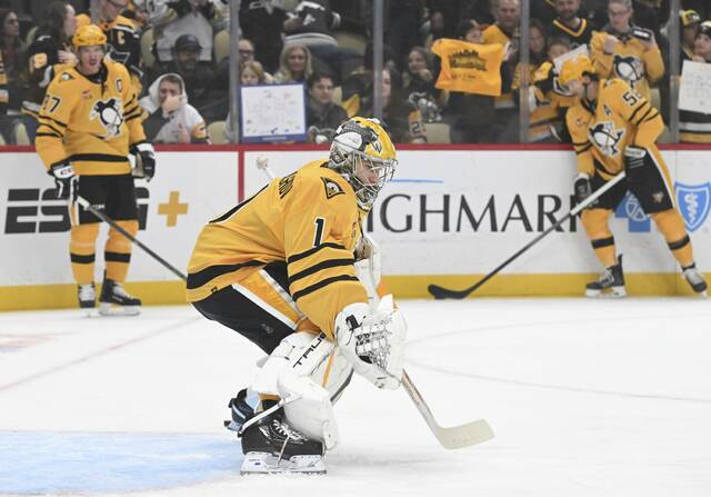 The Penguins recalled goaltender Sergei Murashov from Wilkes-Barre/Scranton of the American Hockey League on Tuesday.