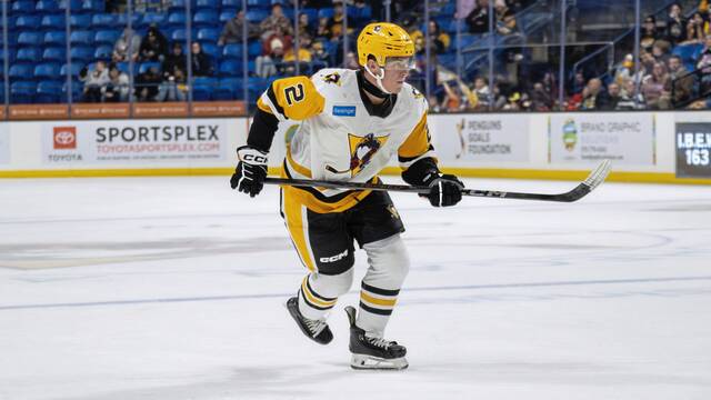 In two games with the Wilkes-Barre/Scranton Penguins this season, forward Rutger McGroarty has two goals.
