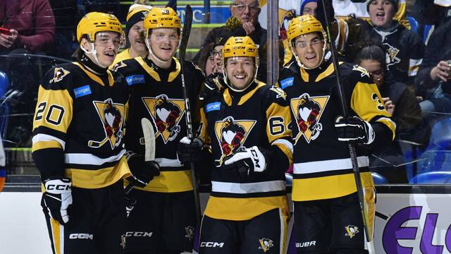 Wilkes-Barre/Scranton Penguins (left to right) forward William Dufour, defenseman Owen Pickering, forward Gabe Klassen and defenseman Jack St. Ivany celebrate during a 4-1 win against the Lehigh Valley Phantoms at Mohegan Arena in Wilkes-Barre on Friday.